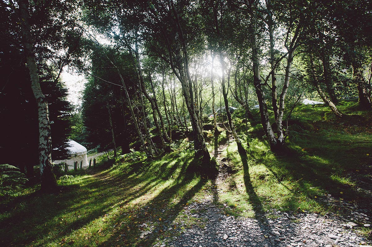 graig-wen-wedding-photographer-landscape-snowdonia-wales-mike-plunkett-fine-art-documentary-mawddach (23)