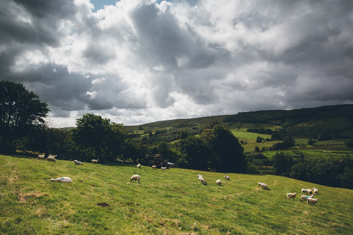 mike-plunkett-photography- (7)