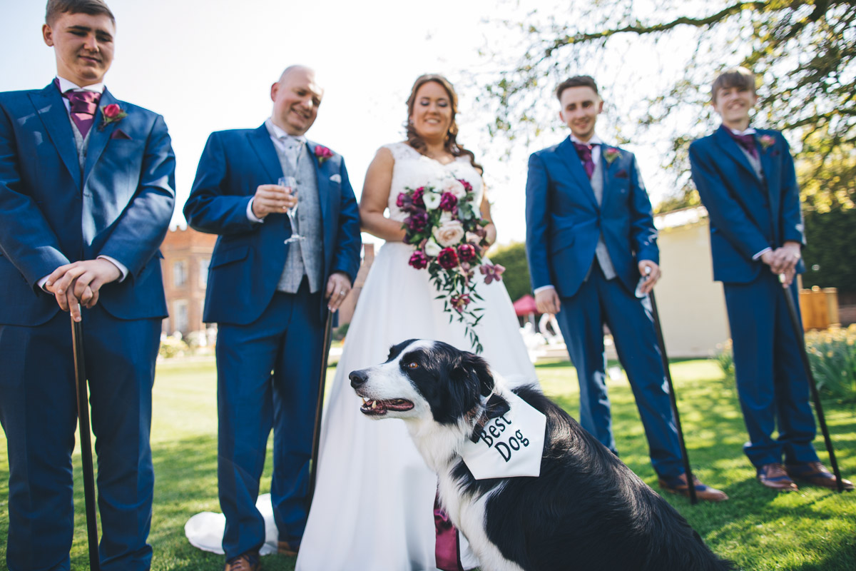 canine friend photo bombing the group picture