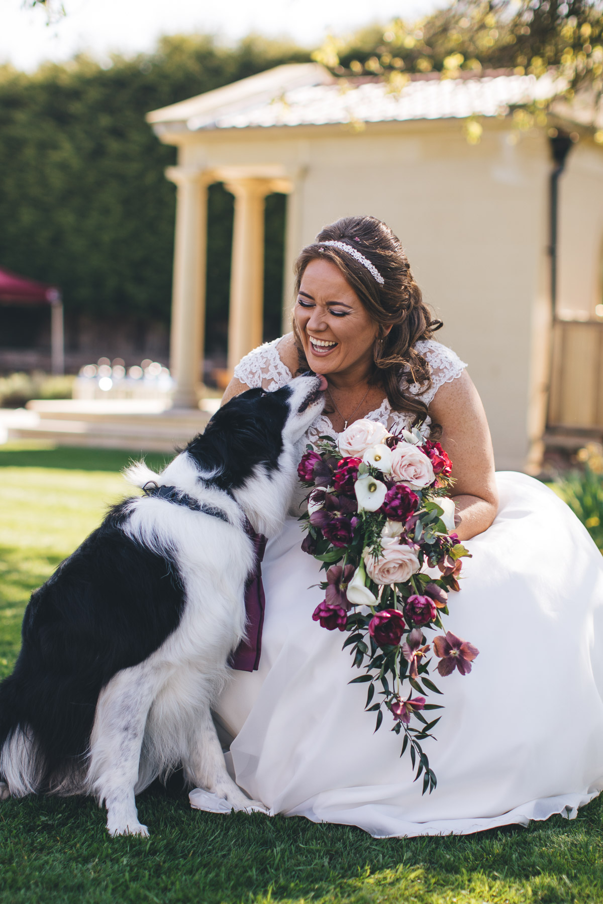 bride getting a kiss from her pooch
