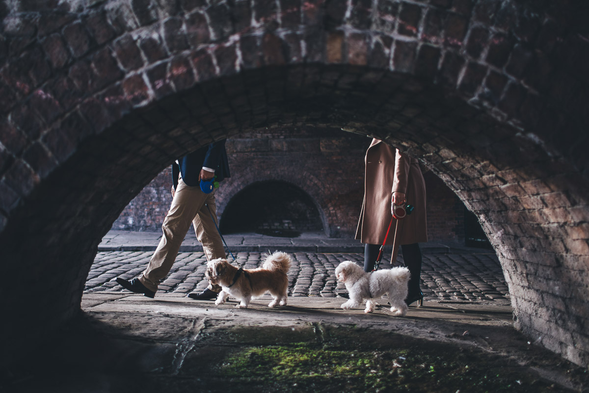 catslefield pre wedding shoot with their dogs