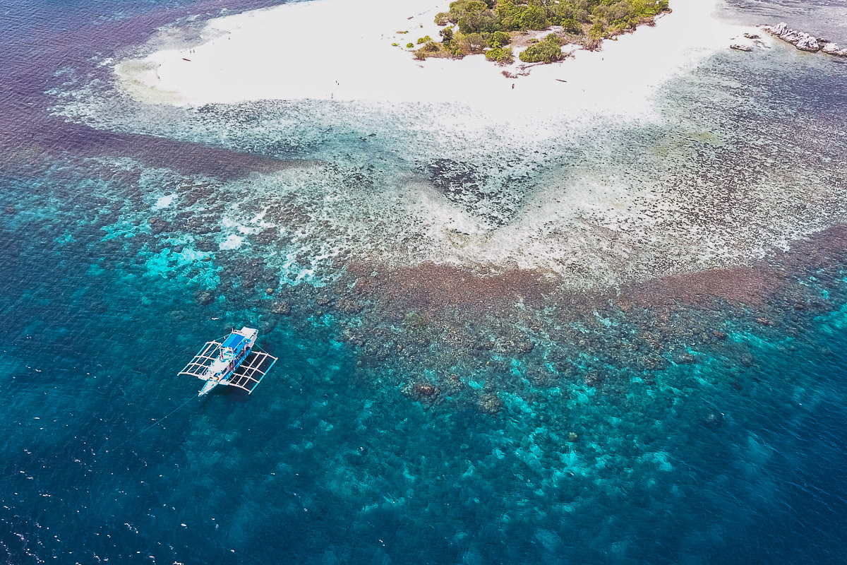drone shot from above of coral reef in coron
