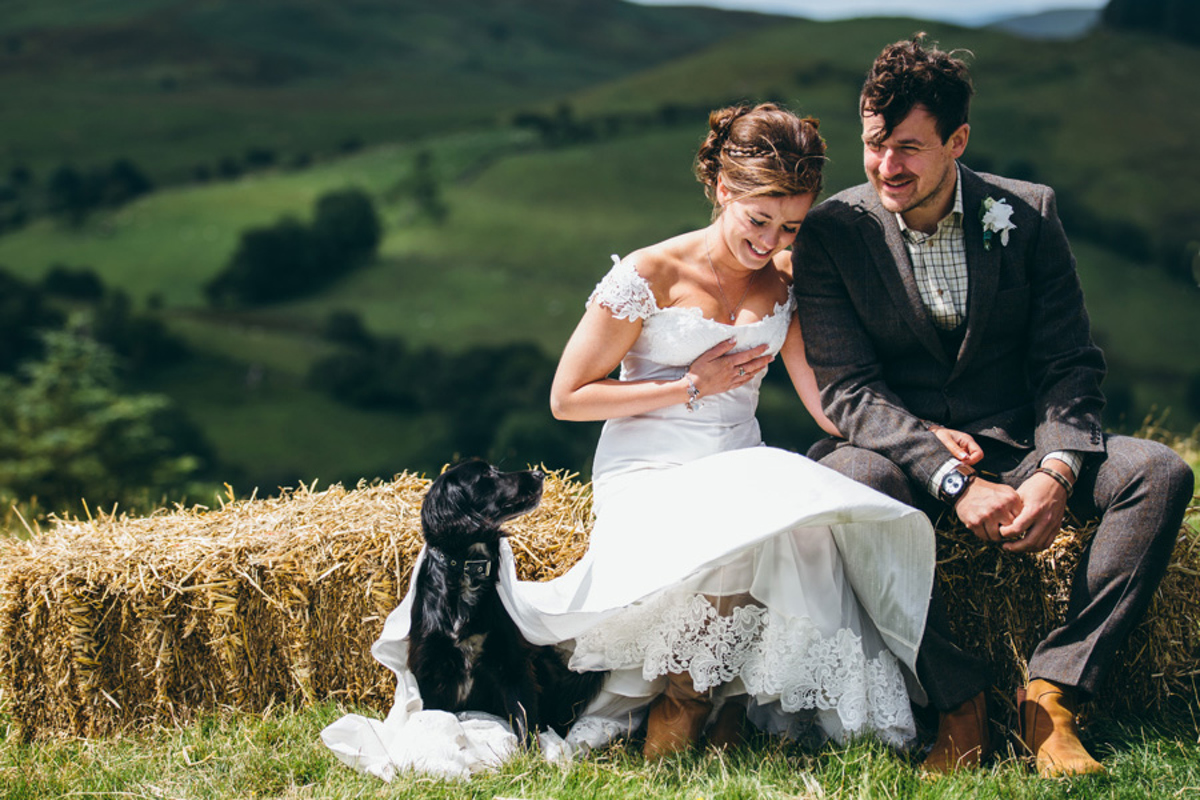 dog in wedding dress up on a hill in wales