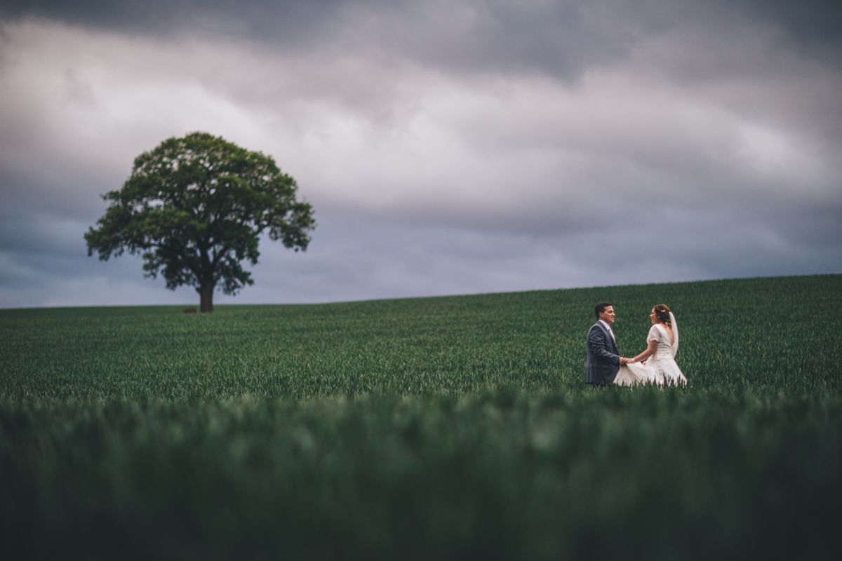 Bride and groom facing each other holing hands in a green wheat field with a large green tree to the left of the picture in the background and a dark cloudy sky above.
