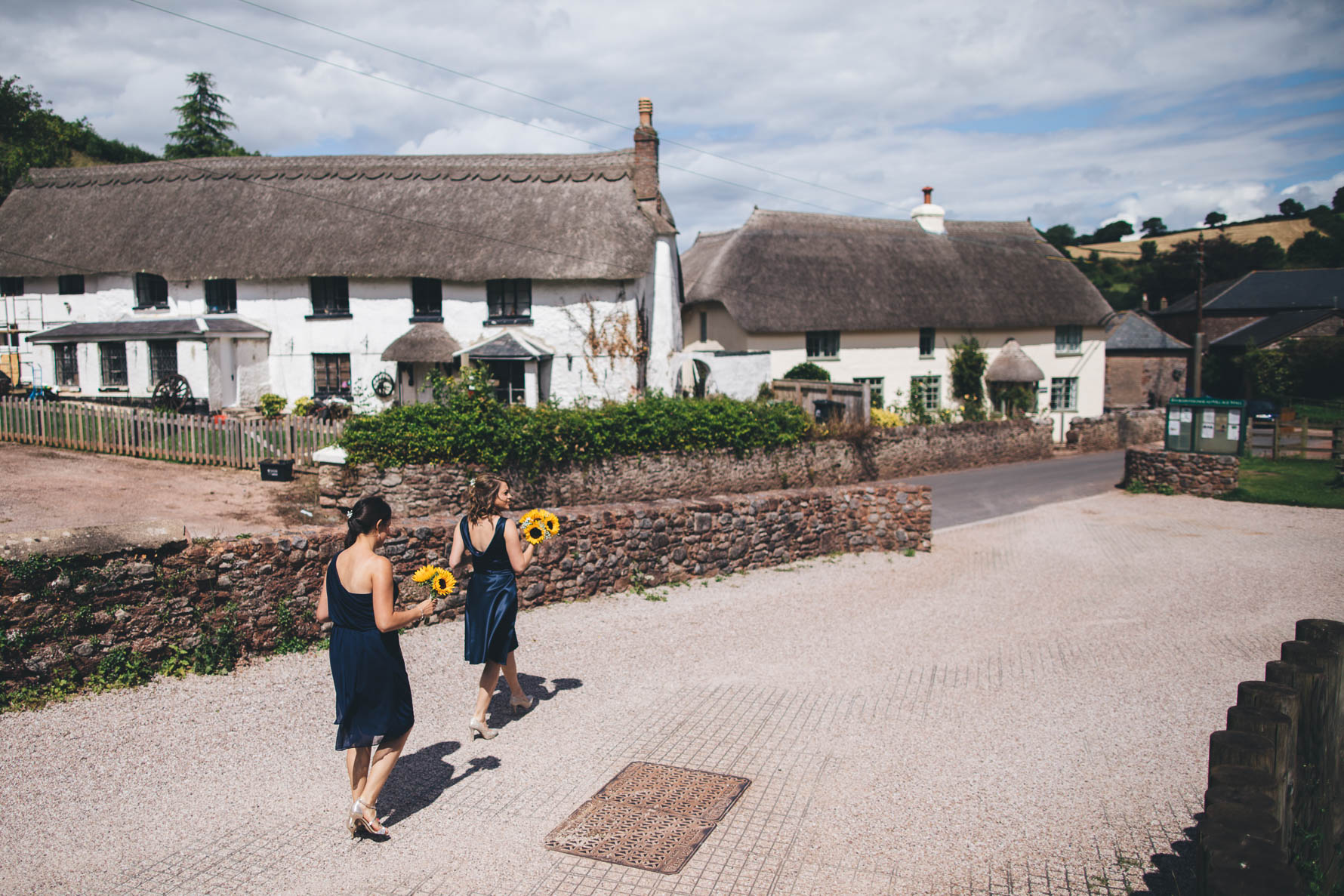 Two bridesmaids in midnight blue dresses holding sunflowers walking in front of two large whitewashed thatched cottages in a village in Devon.