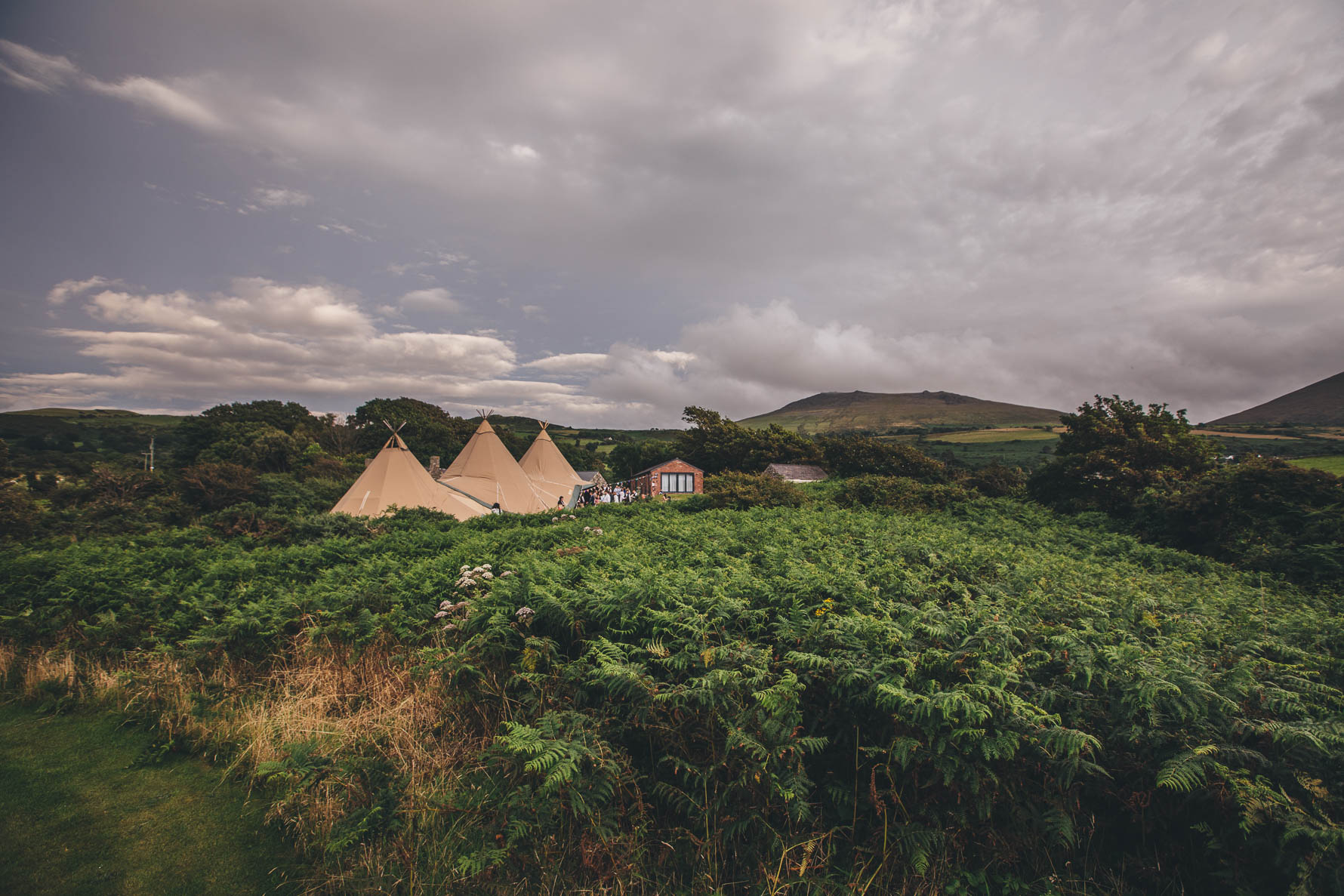 Shot of three tipi's in the background at Red Welly with lots of ferns in the foreground