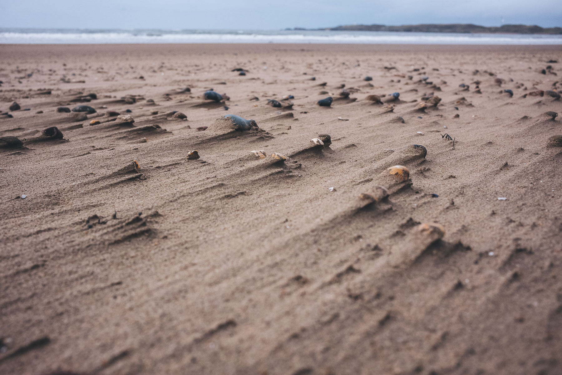 stones on anglesey beach with wind blown direction sand behind each one