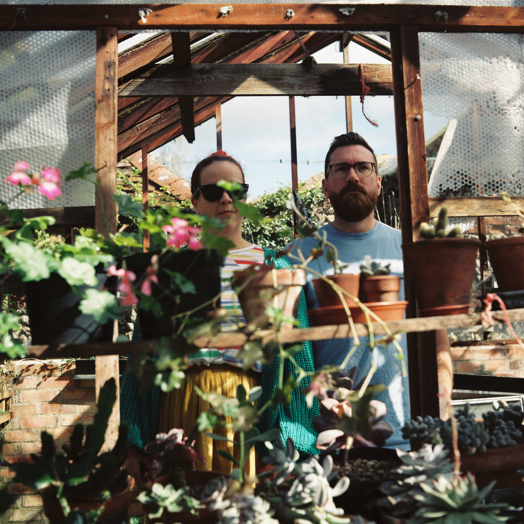 film photography mike plunkett taken in a green house