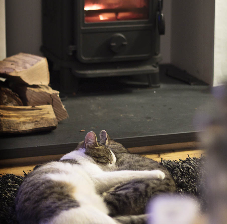 two cats hug in front of the log burning stove