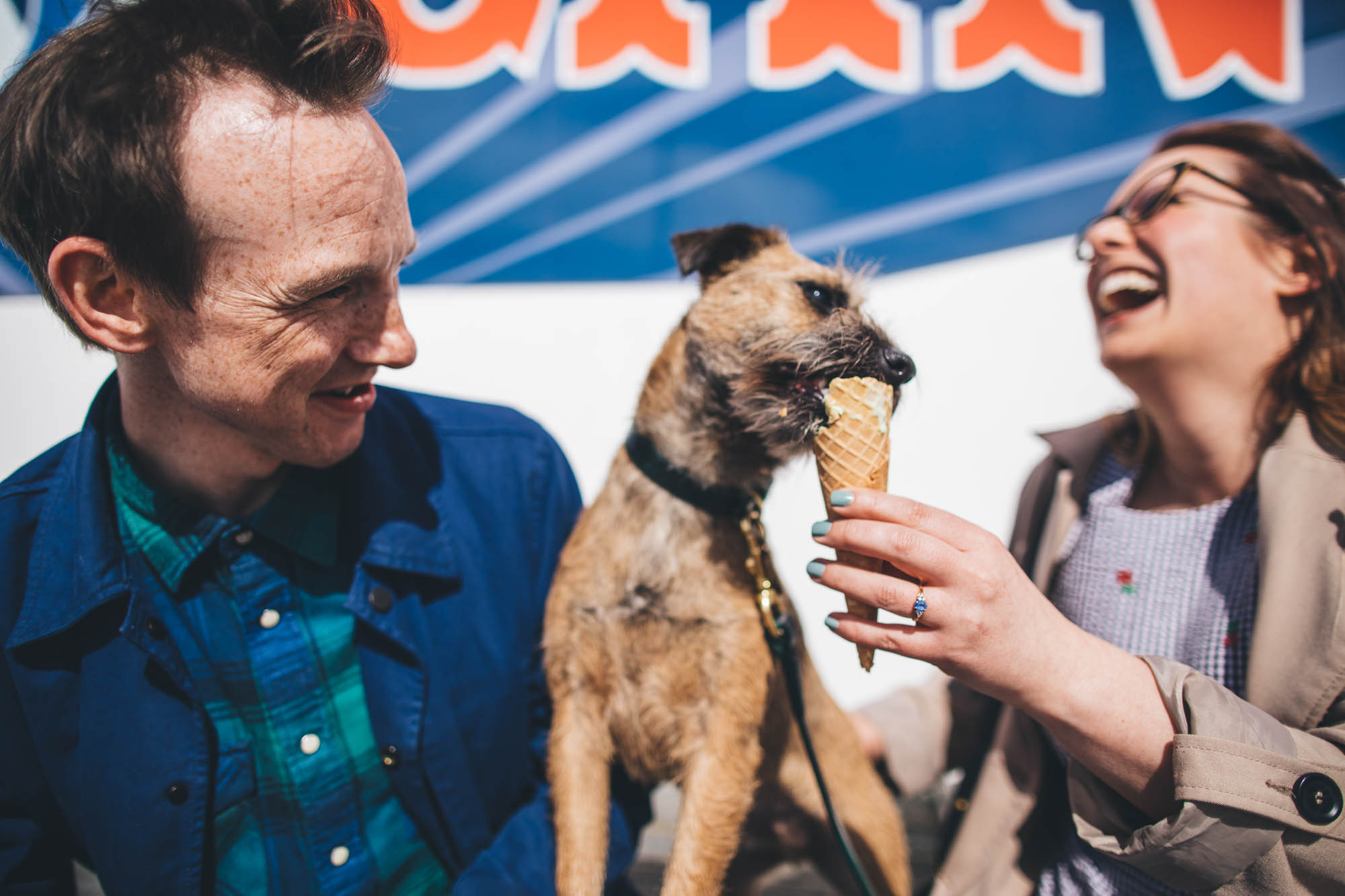 dog licks ice cream from womans cone in hand