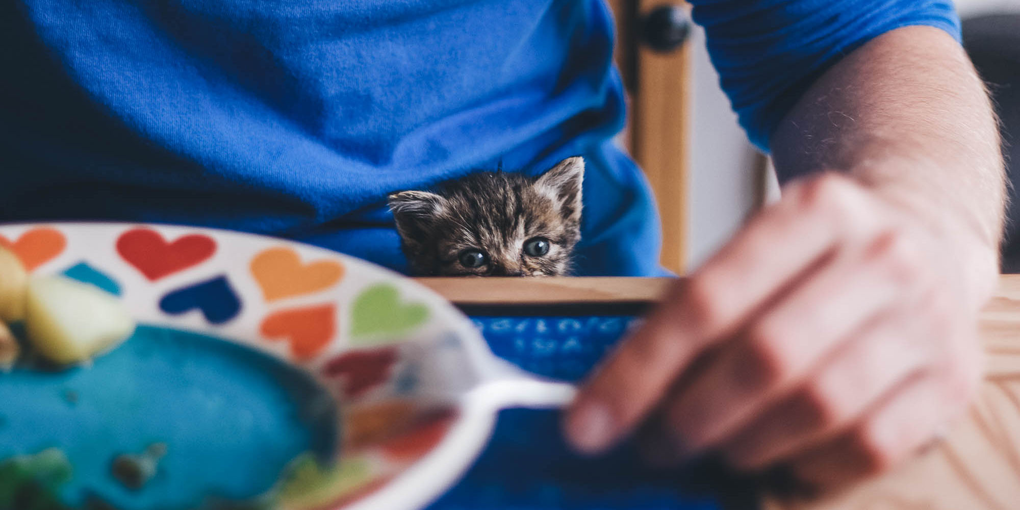 martha looking onwards from lap over dining table and plate of food