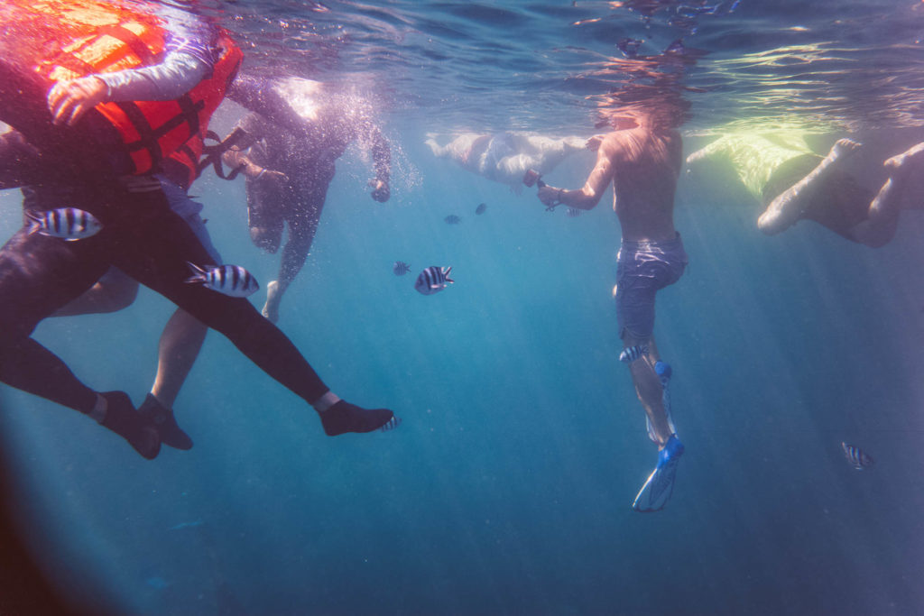 snorkellers enjoy looking at tropical fish, photo is underwater view