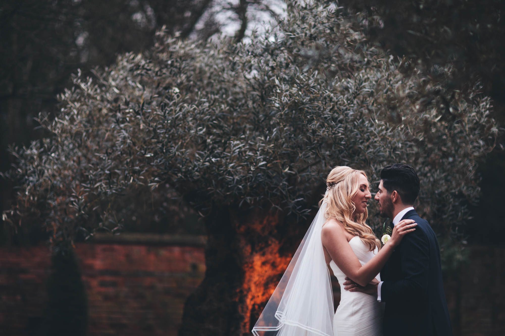 Bride and Groom hold each other outside near a beautiful tree