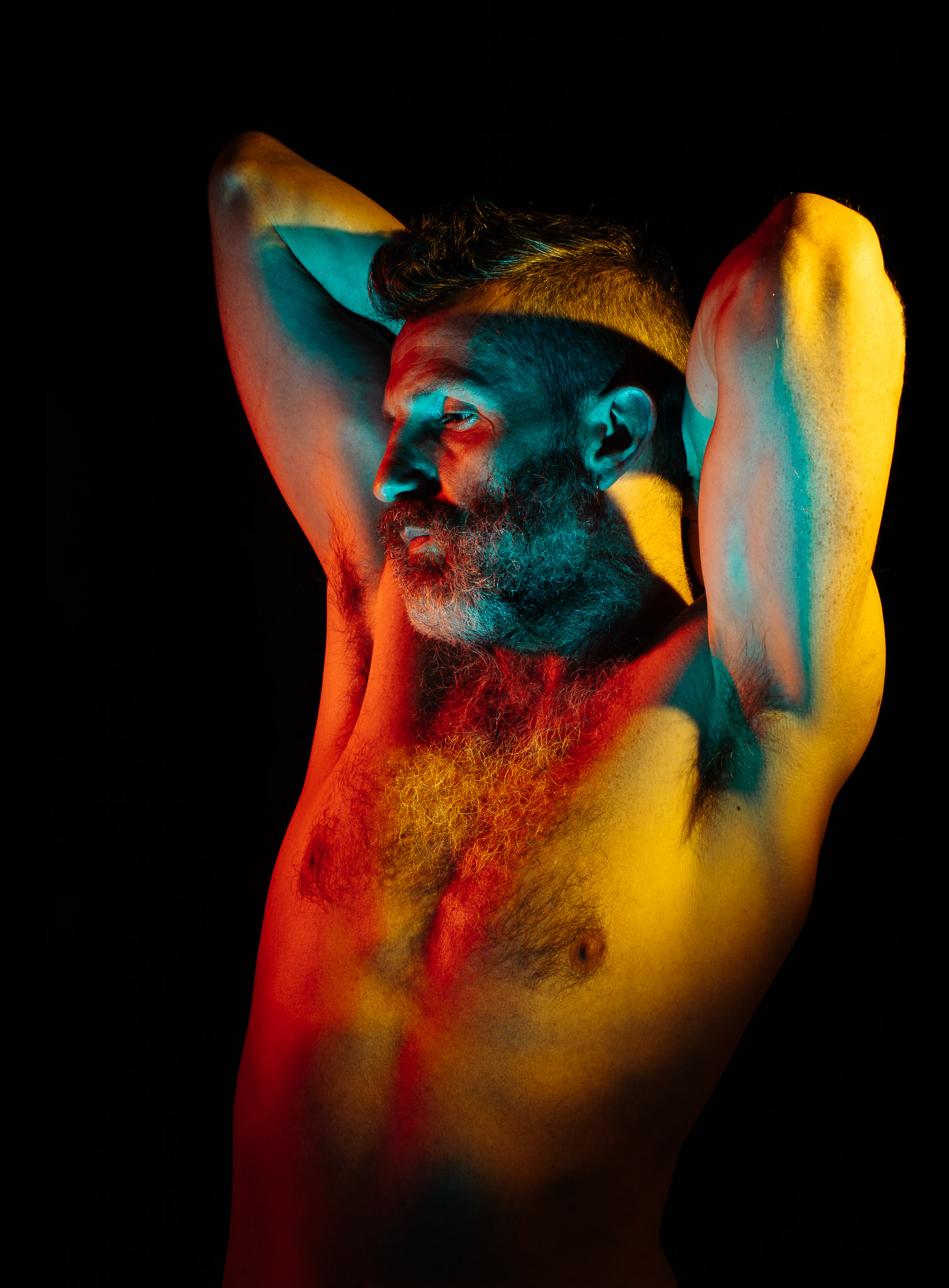 cover image of the homo alone project mike is lit with three colours