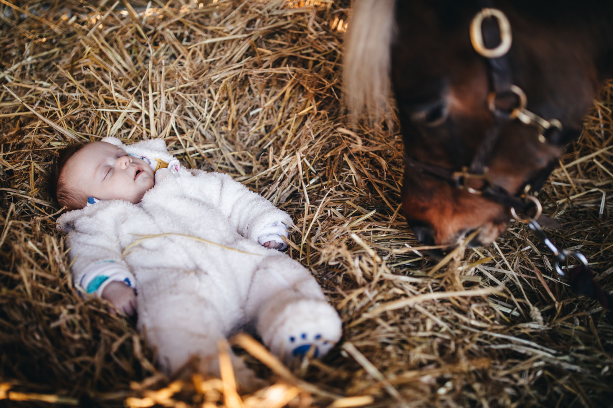 baby sits in hay on farm with horse derek
