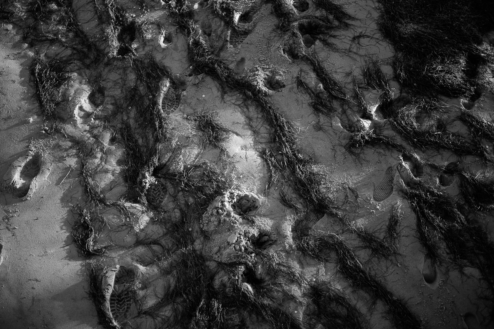footprints and seaweed on sand in high contrast image