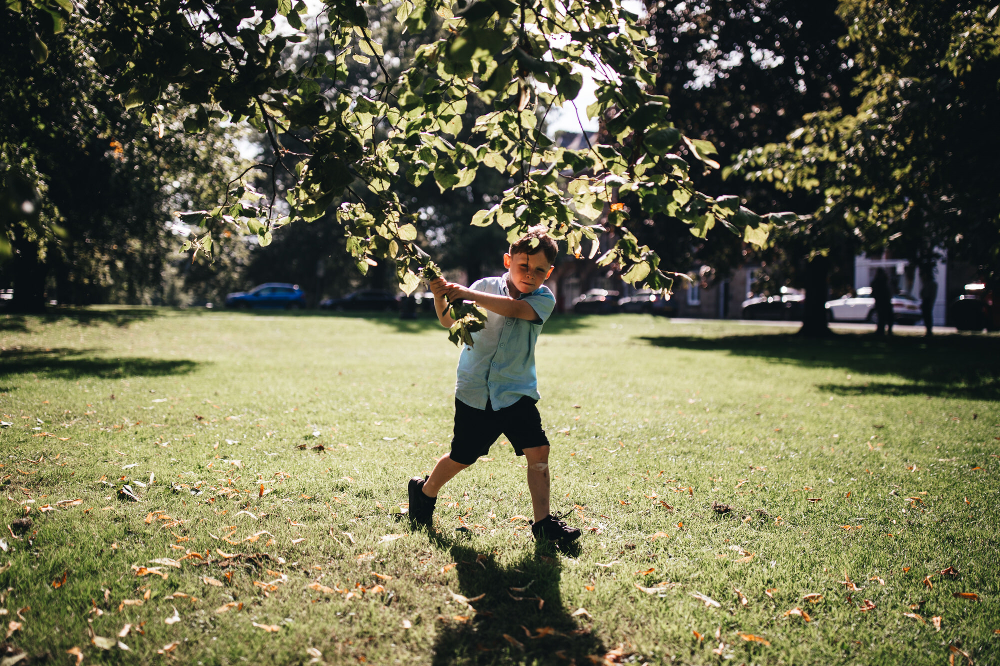 boy playing with tree in sunshine